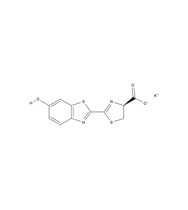 Structure of D-Luciferin K-salt