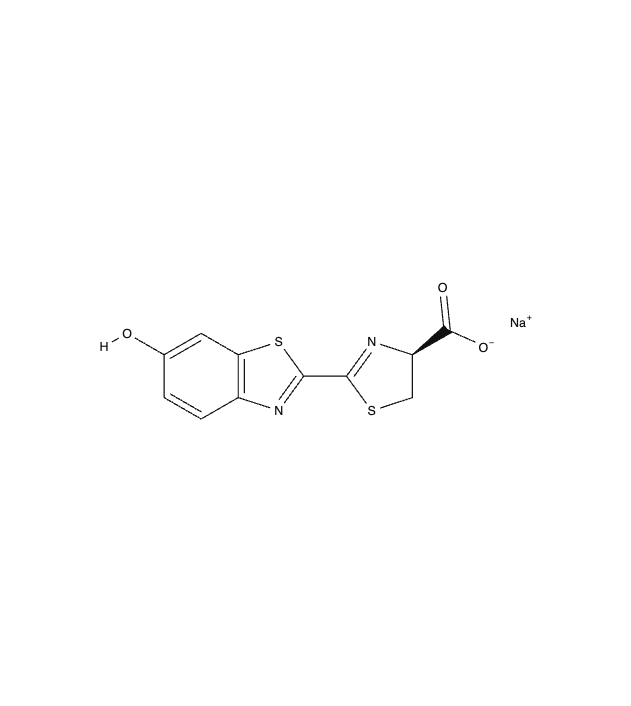 Structure of D-Luciferin Na-salt
